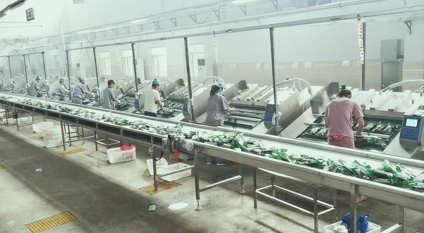 Food processing line